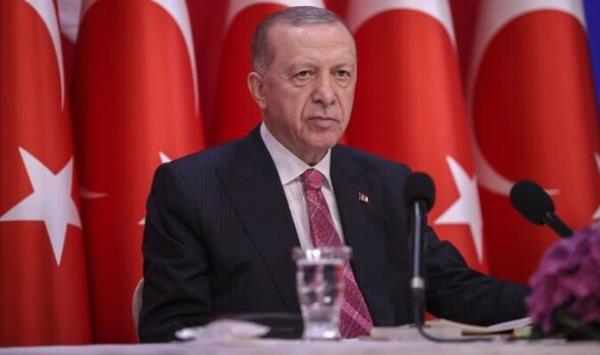 Erdogan snubs Putin as Turkey detains Russian ship carrying Ukrainian grain
