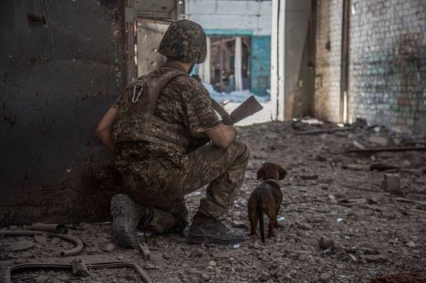 A Ukrainian service member and a dog in the industrial area of the city of Severodonetsk. Reuters