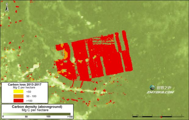Aboveground carbon levels at the plantation site were very high. Image courtesy of MAAP with data from Asner et al. (2014).