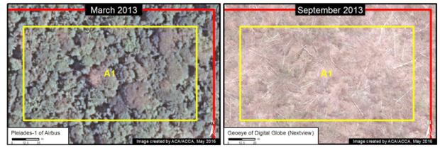 Two images of the same area six mo<em></em>nths apart reveal the deforestation of intact forest. Image courtesy of MAAP.