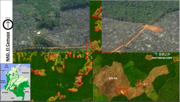 Satellite imagery and aerial photographs show deforestation associated with road co<em></em>nstruction in the Yaguará II Indigenous Reserve. Image courtesy of the Ministry of the Enviro<em></em>nment and IDEAM.