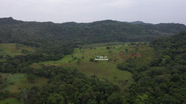 非法道路遍布哥伦比亚亚马逊的土著保护区和国家公园
