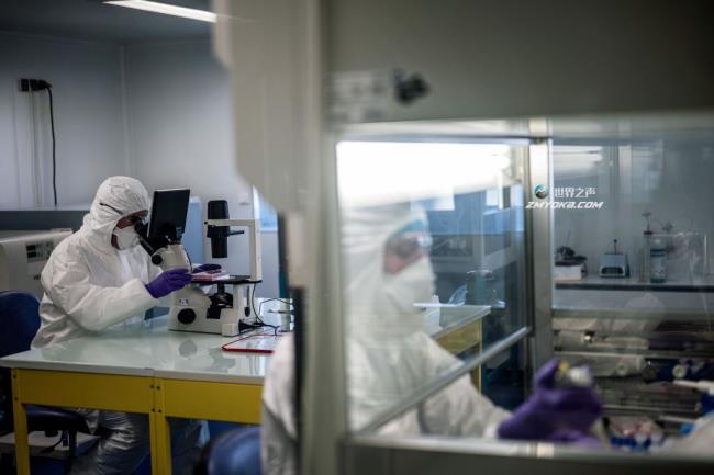 新冠病毒是在法国发现的一种新变体:专家进行了划分，世卫组织进行了监测