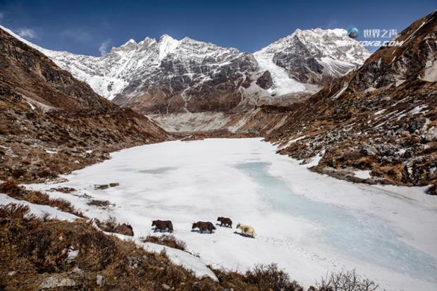 随着冰川的融化，尼泊尔被迫做出了自己无法选择的适应