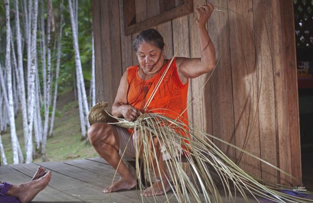 恢复传统:亚马逊女性放弃采矿，转向生物化妆品