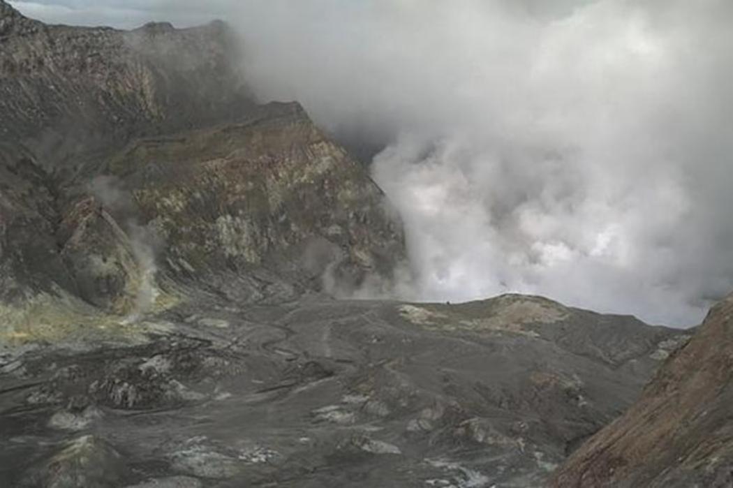 在2019年瓦卡里火山爆发后，科学组织面临指控，火山学家的反映