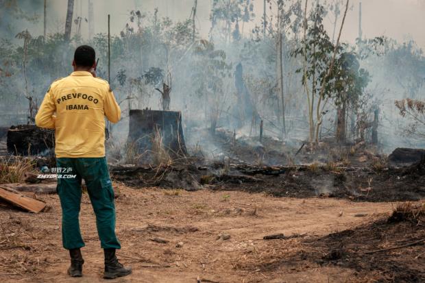 An official from Operation Green Brazil surveys a deforested and burned landscape. Image by Ibama via Wikimedia Commons (CC BY-SA 2.0).