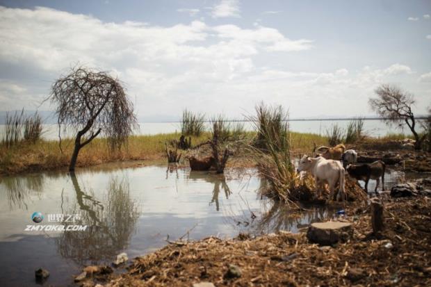 Rising water levels Kenya
