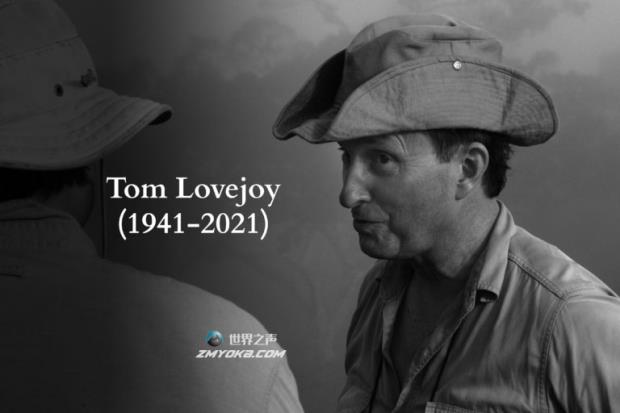 汤姆·洛夫乔伊给地球留下的不朽遗产
