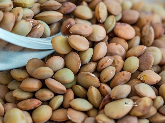 什么时候吃扁豆可以降低血糖指数?奶奶的技巧
