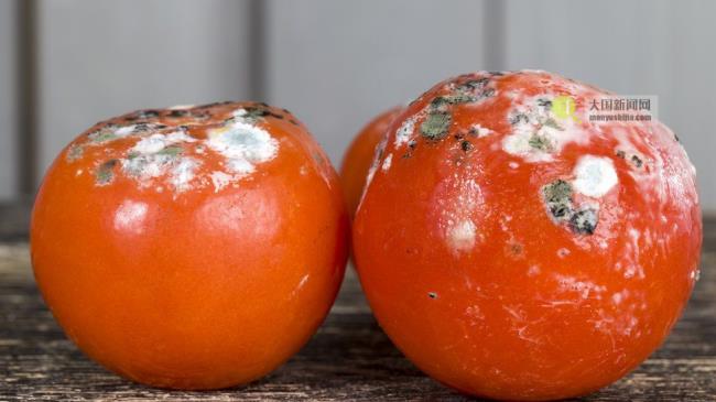 mouldy tomatoes