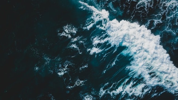 海洋酸度是气候变化的关键预测因子