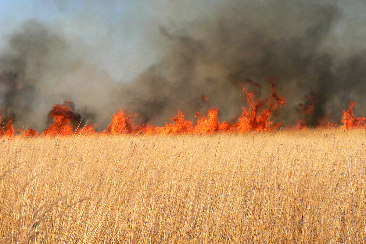 研究重现了美国中西部232年的草原大火历史