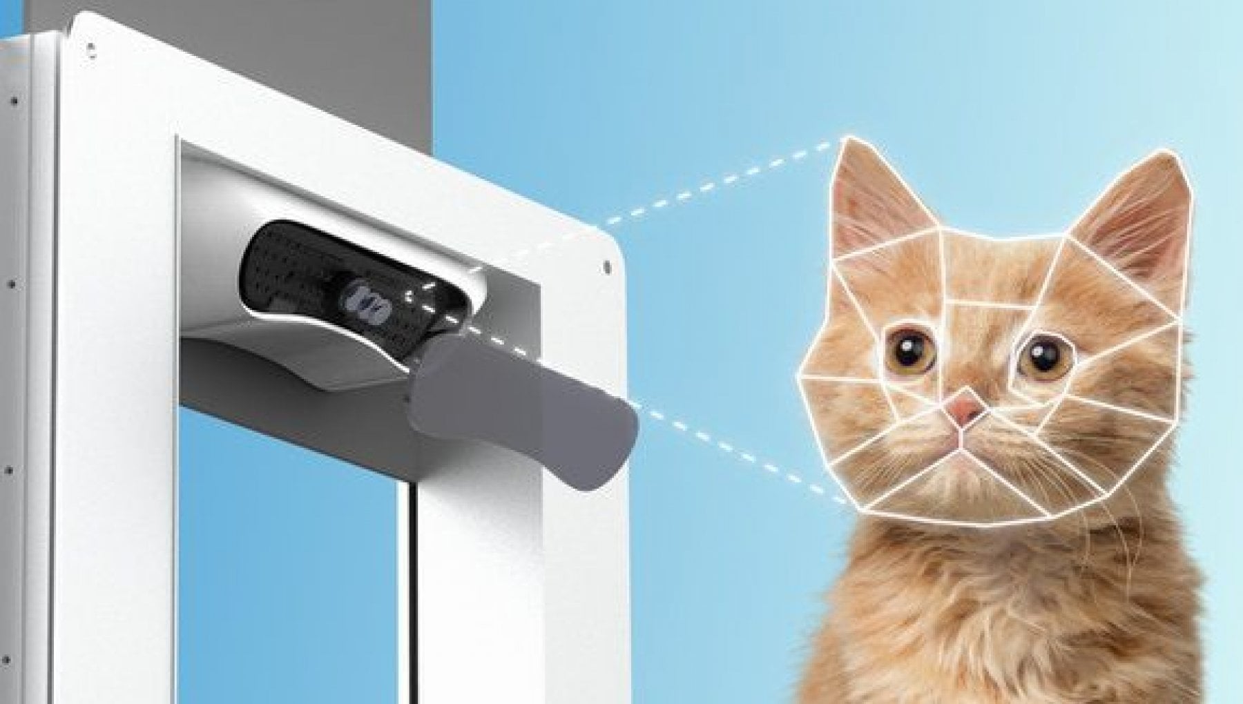 How Petvation works, the door for cats and dogs with facial recognition
