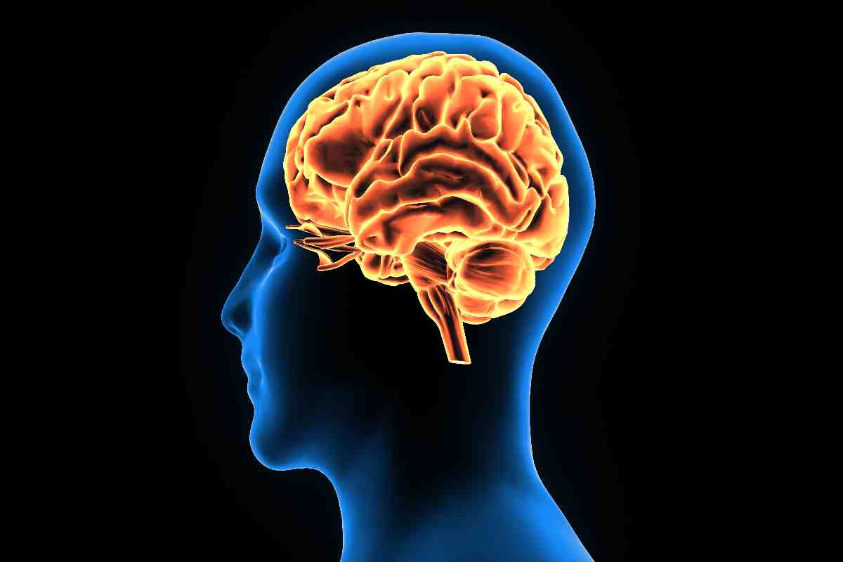 阿尔茨海默病:科学家们已经发现它是如何通过导致脑细胞过热来“摧毁大脑”的