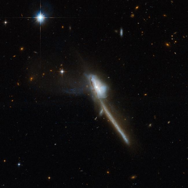 具有活动超大质量黑洞的星系的远红外线发射